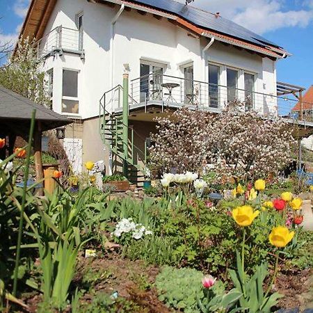 Ferienwohnung Dr. Vera Schmidt Kreischa Екстер'єр фото