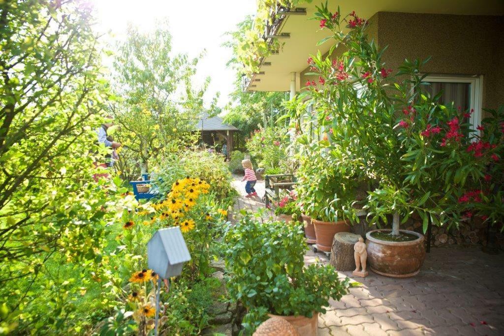 Ferienwohnung Dr. Vera Schmidt Kreischa Екстер'єр фото