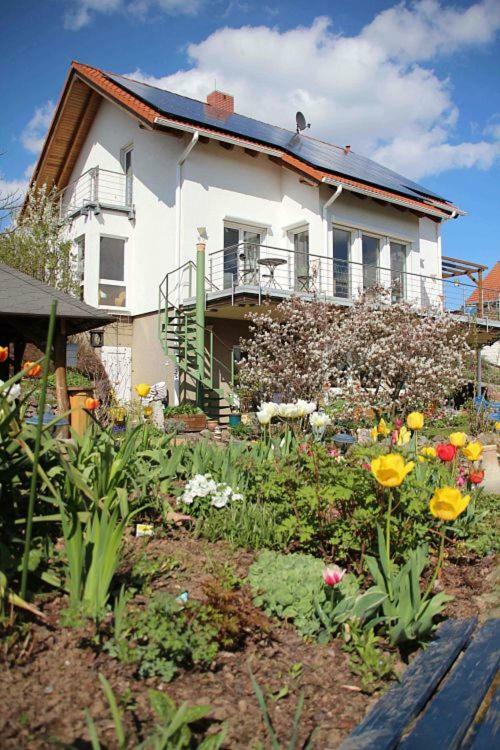 Ferienwohnung Dr. Vera Schmidt Kreischa Екстер'єр фото